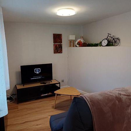Le Petit Fleck Apartment Haguenau Exterior photo